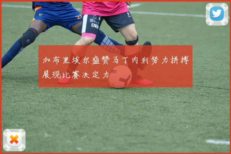 加布里埃尔盛赞马丁内利努力拼搏展现比赛决定力