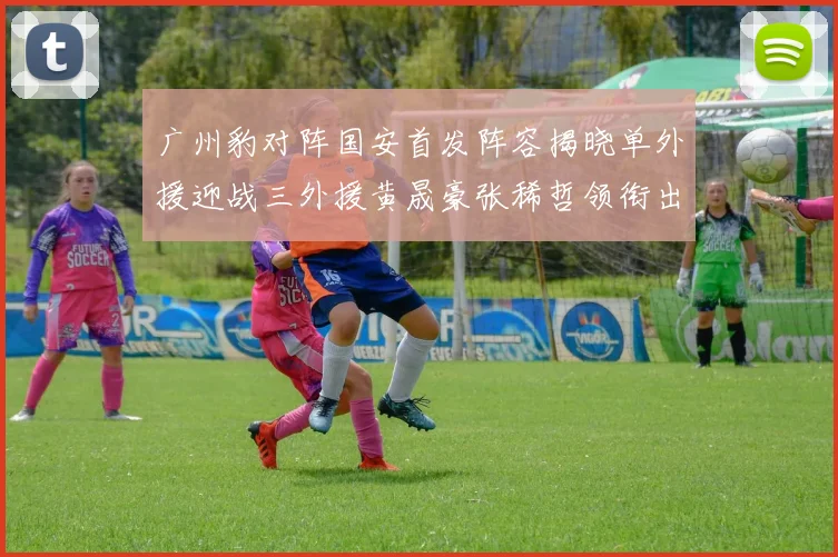 广州豹对阵国安首发阵容揭晓单外援迎战三外援黄晟豪张稀哲领衔出战