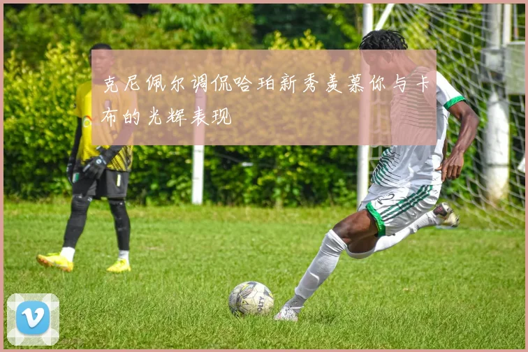 克尼佩尔调侃哈珀新秀羡慕你与卡布的光辉表现