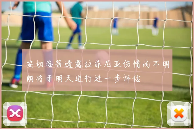 安切洛蒂透露拉菲尼亚伤情尚不明朗将于明天进行进一步评估